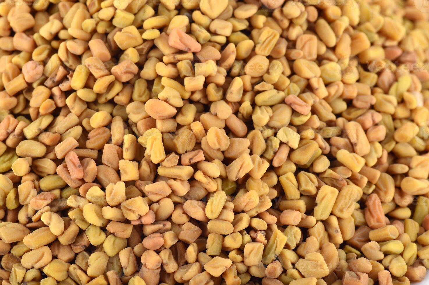 Fenugreek seeds as background. Close up texture photo