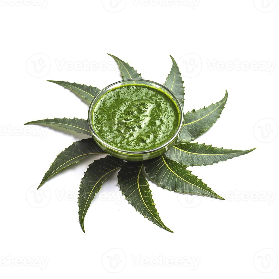 A bowl of green paste with leaves on top photo
