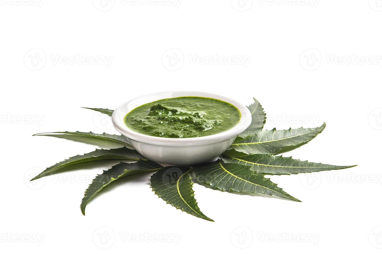 A bowl of green sauce on top of a leaf photo