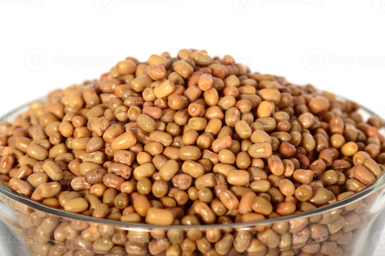 Closeup Of Moth Beans, Indian name Matki, Closeup of moth beans a lesser known legume photo