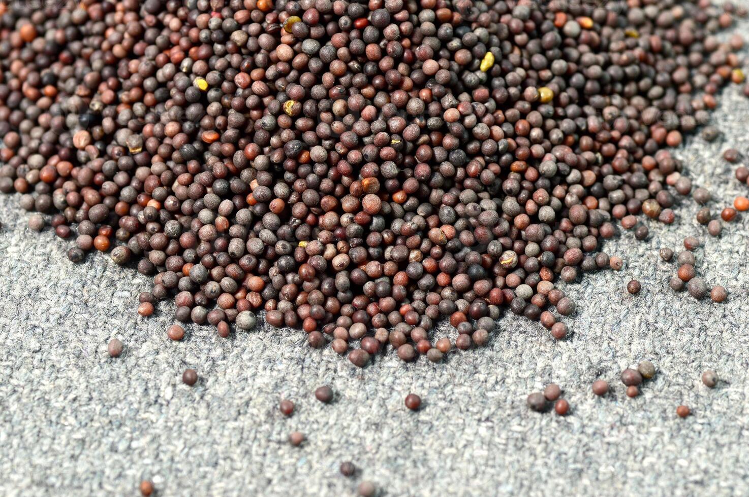 Heap Brown Mustard Seeds on sackcloth photo