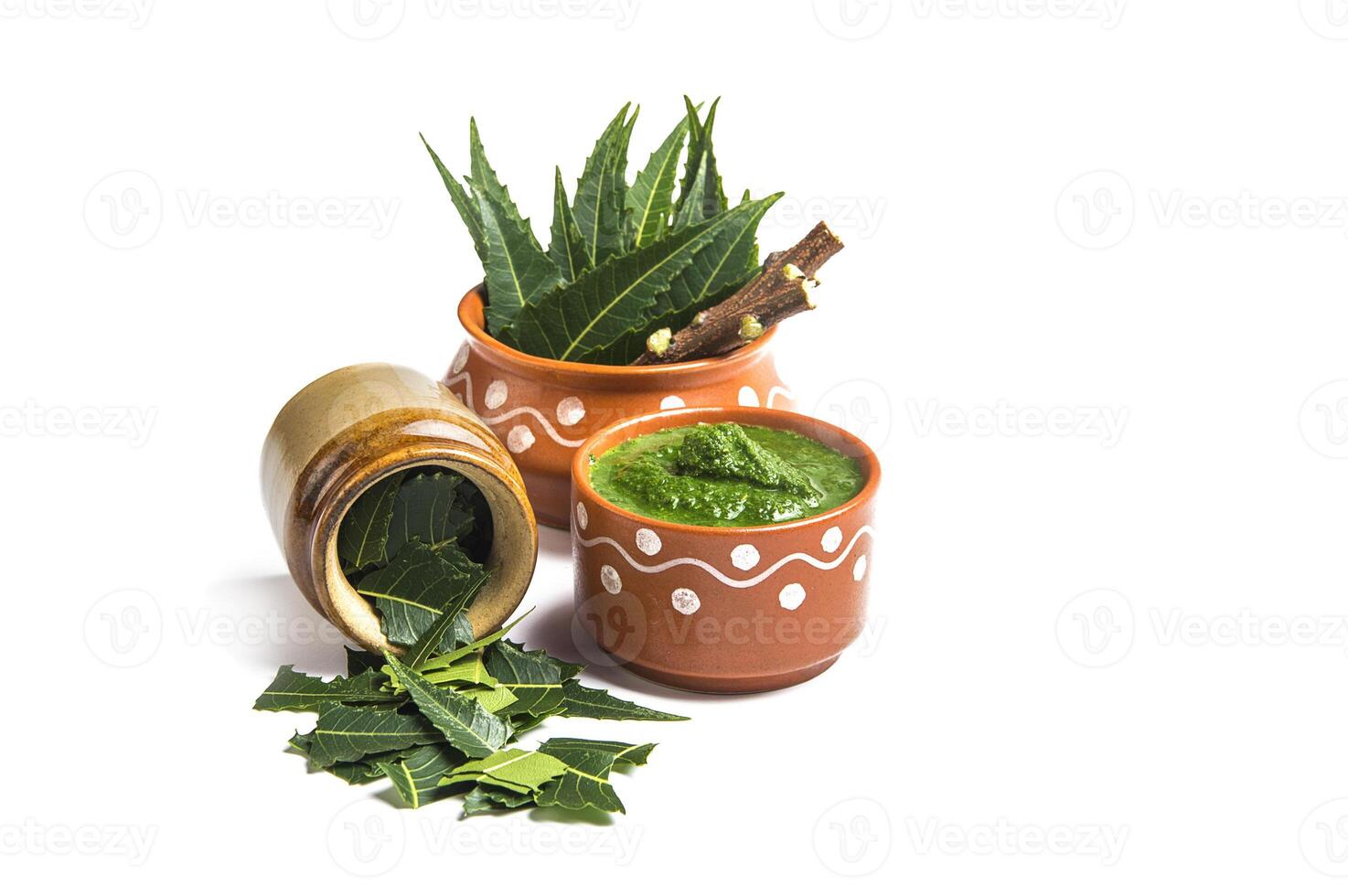 Medicinal Neem leaves with paste and twigs on white background photo
