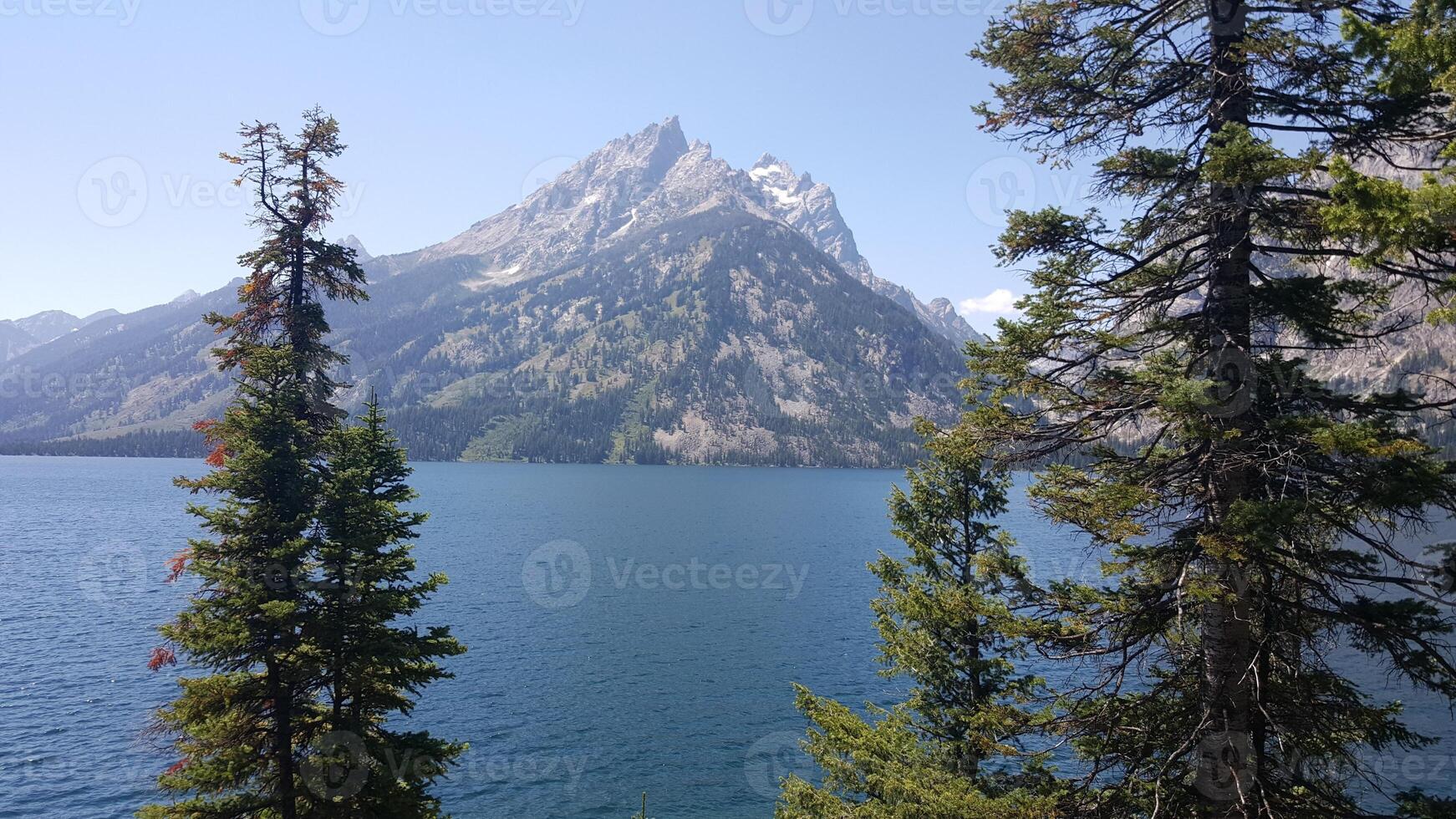 Pine Trees and Mountain Lake, Jenny Lake at Grand Teton National Park photo