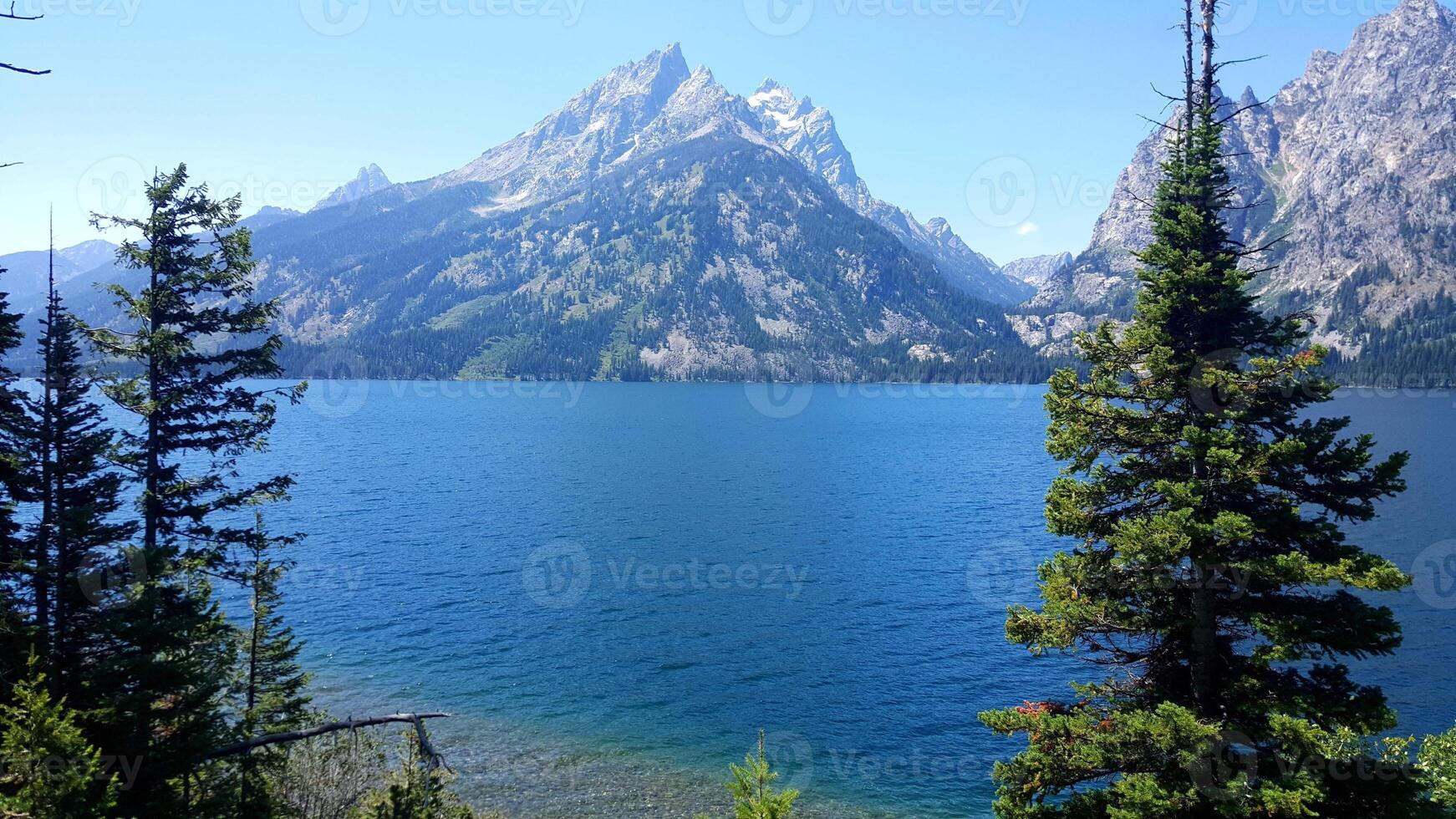 Pine Trees Framing a View of Jenny Lake at Grand Teton National Park photo