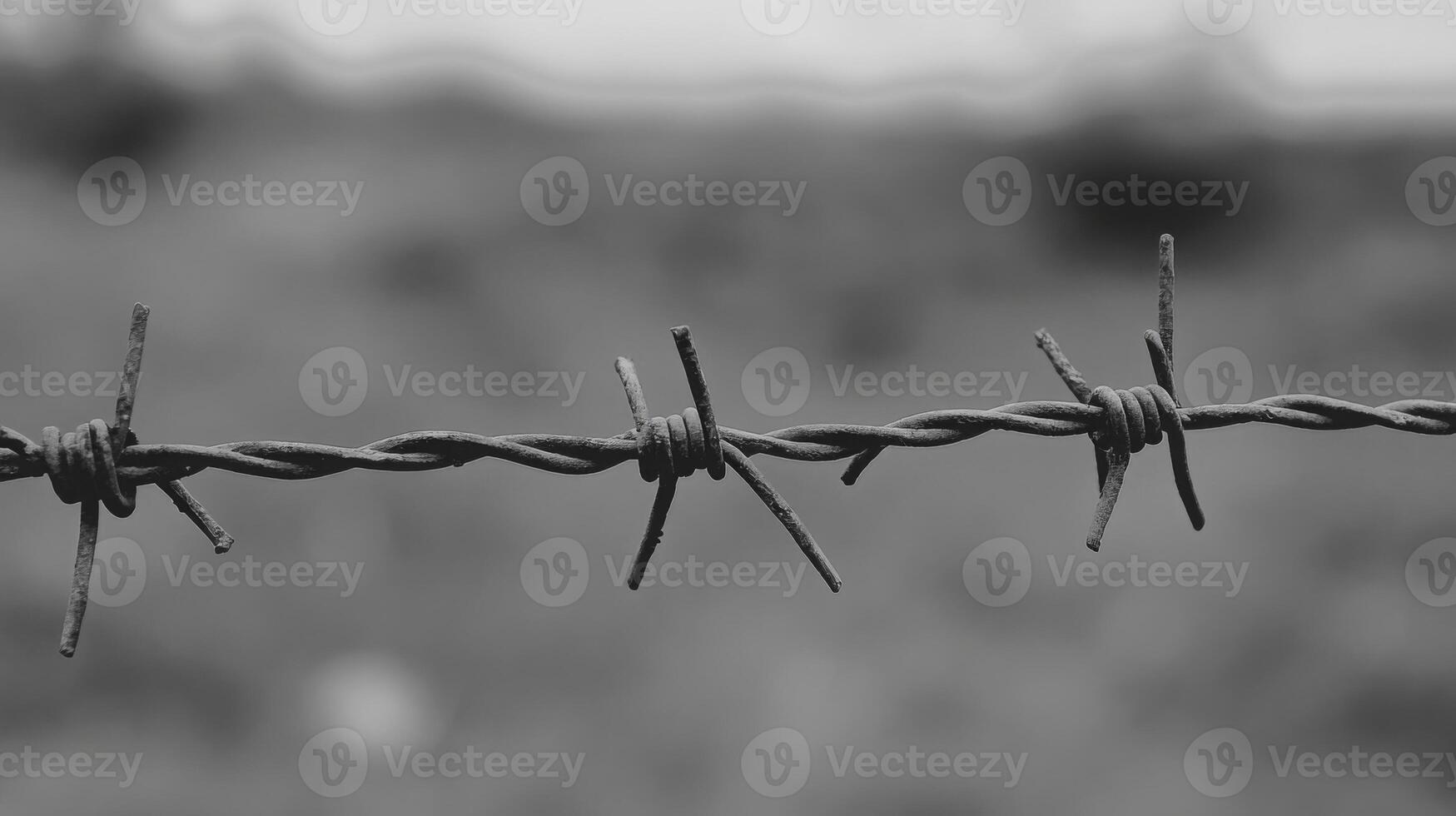 Barbed wire in sharp focus against a blurred background, symbolizing confinement and loss, empty space on one side photo