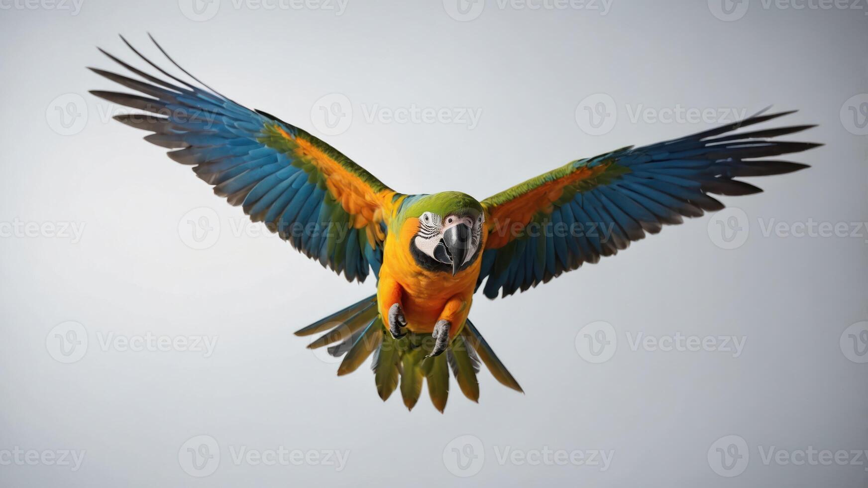 A vibrant parrot in mid-flight, showcasing its colorful feathers against a neutral background. photo