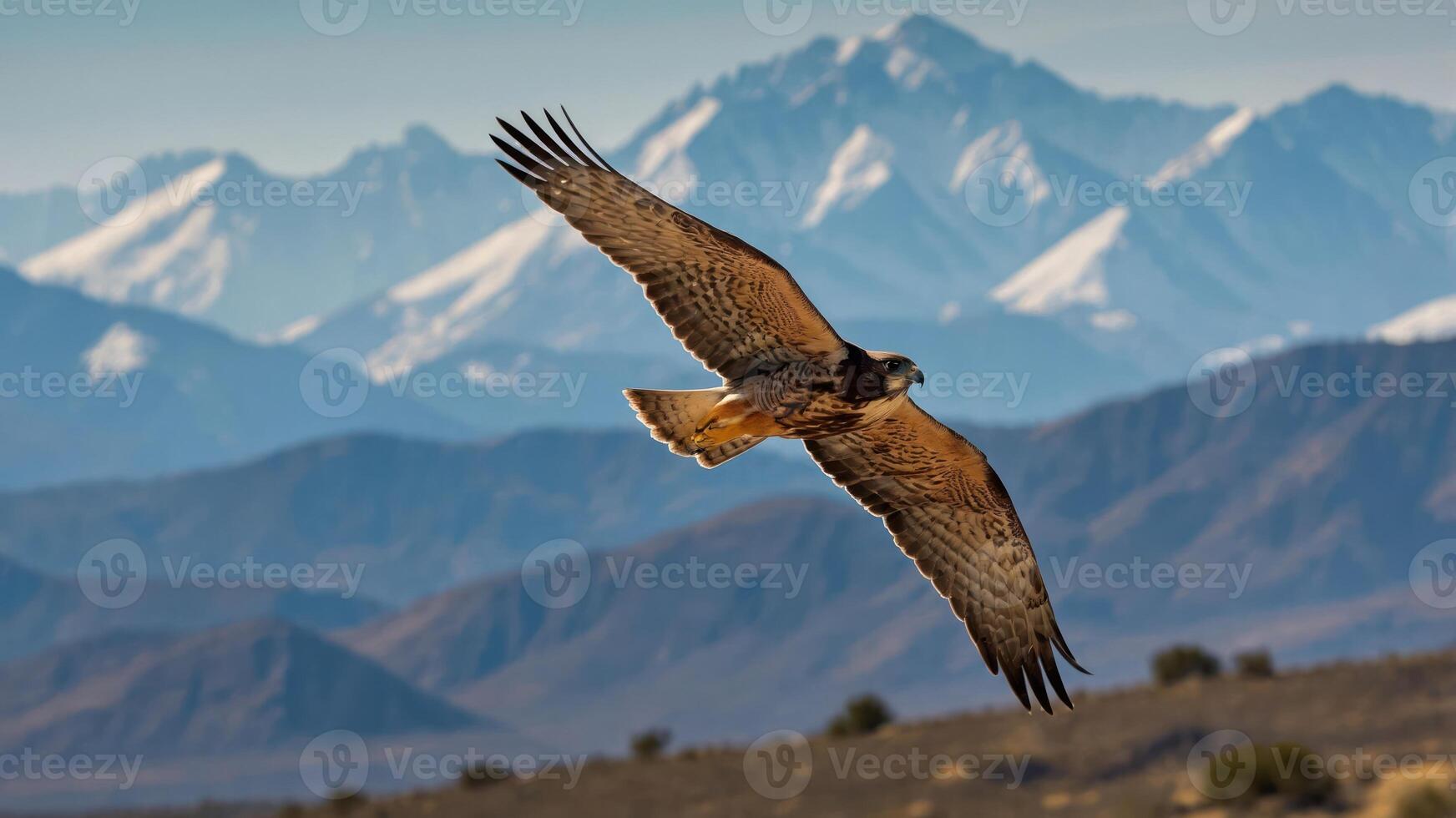 A hawk glides gracefully over a mountainous landscape, showcasing nature's beauty. photo