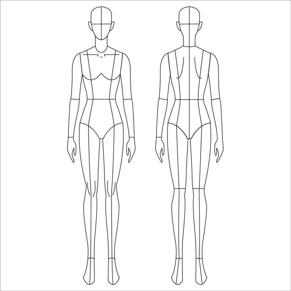 The female body template is shown in two different poses vector