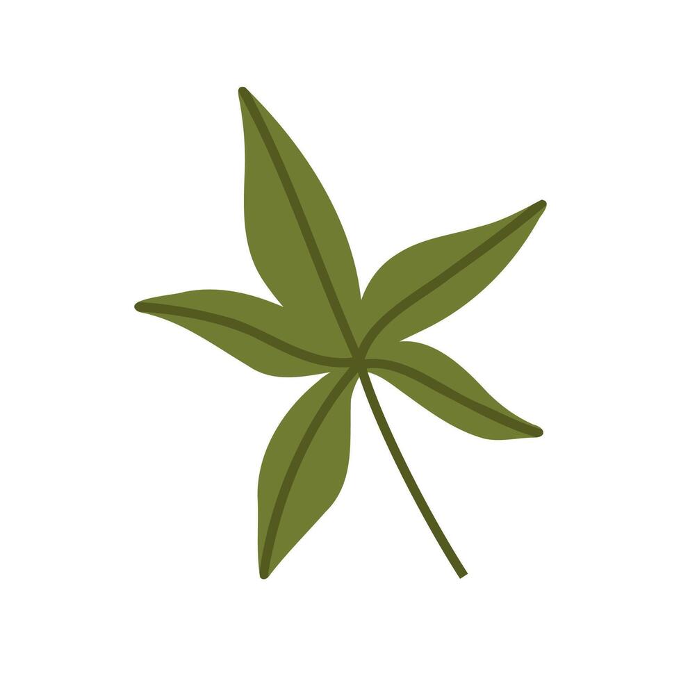 Cute hand drawn autumn leaf, cartoon flat illustration isolated on white background. Simple green fall leaf, nature design element. vector