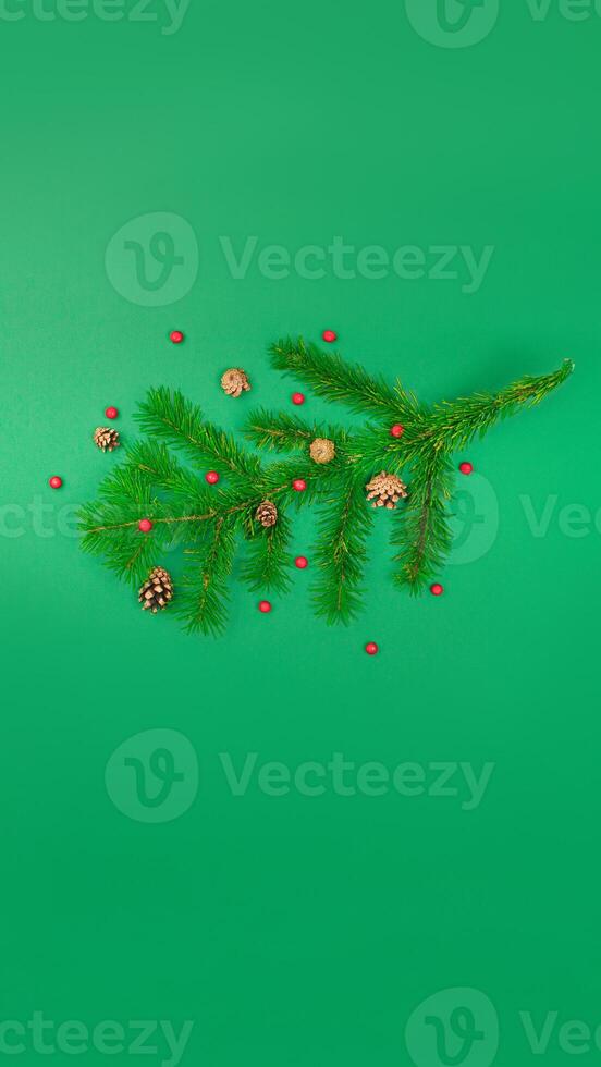 Tree branch with cones and mountain ash. New Year and Christmas content green background isolated vertical poster banner photo