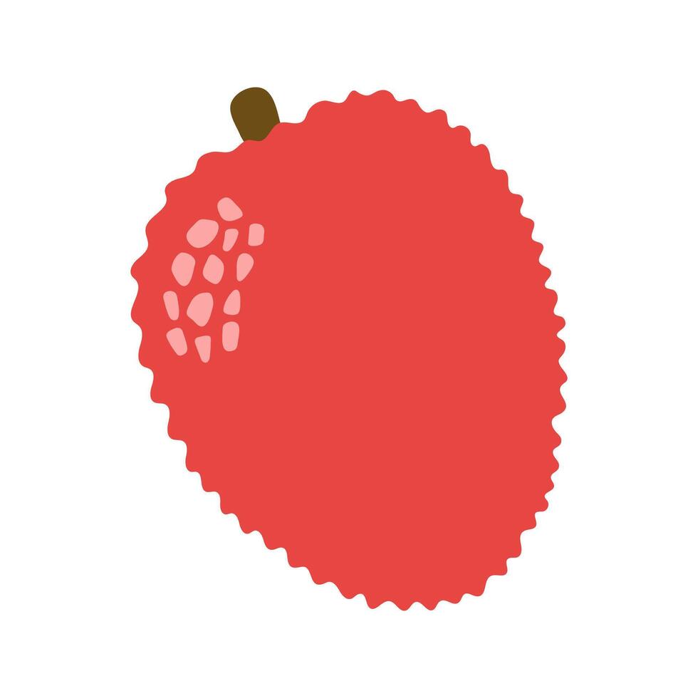 Single juicy lychee. Hand drawn cartoon summer fruit illustration. vector