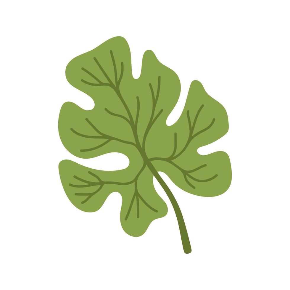 Watermelon green leaf clipart. Watermelon party. Hand drawn cartoon summer fruit illustration. vector