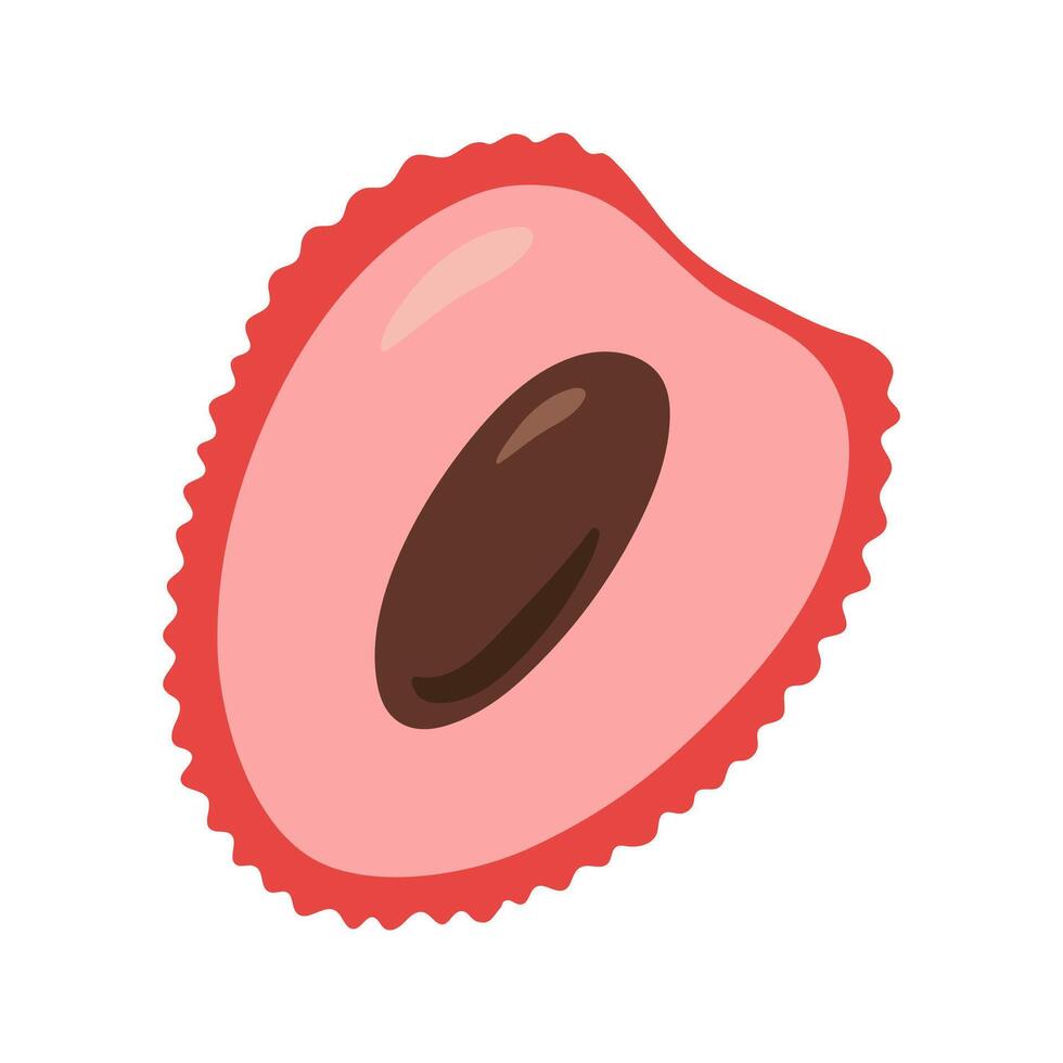 Single halved juicy lychee with seed. Hand drawn cartoon summer fruit illustration. vector