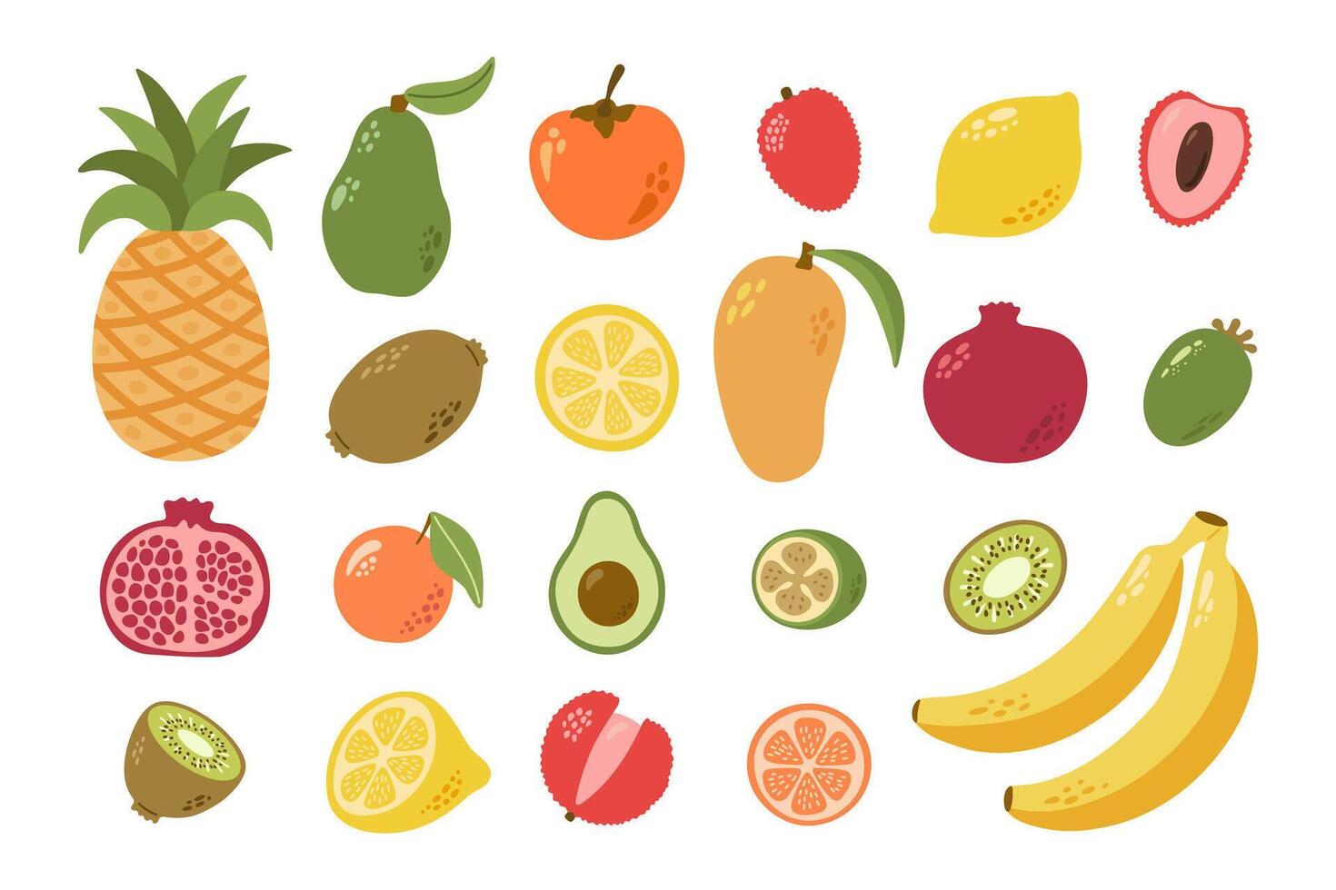 Summer tropical, exotic fruits and berries with leaves. Pineapple, avocado, seed, persimmon, lychee, lemon, kiwi, mango, pomegranate, feijoa, orange, banana. Hand drawn cartoon. vector