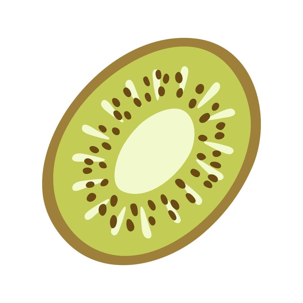Single juicy circle slice kiwi with seeds. Hand drawn cartoon summer fruit illustration. vector