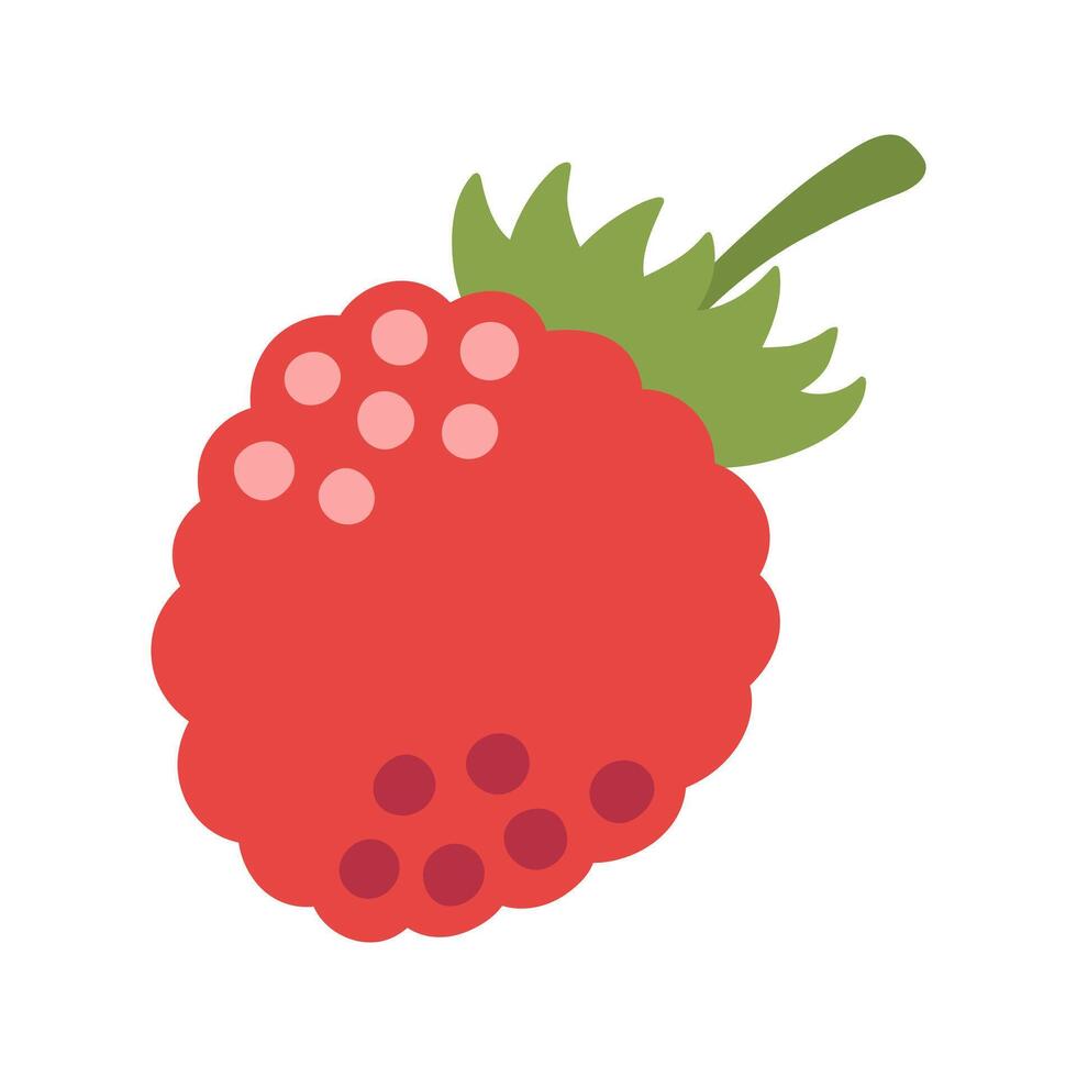 Single juicy red raspberry. Hand drawn cartoon summer berry fruit illustration vector