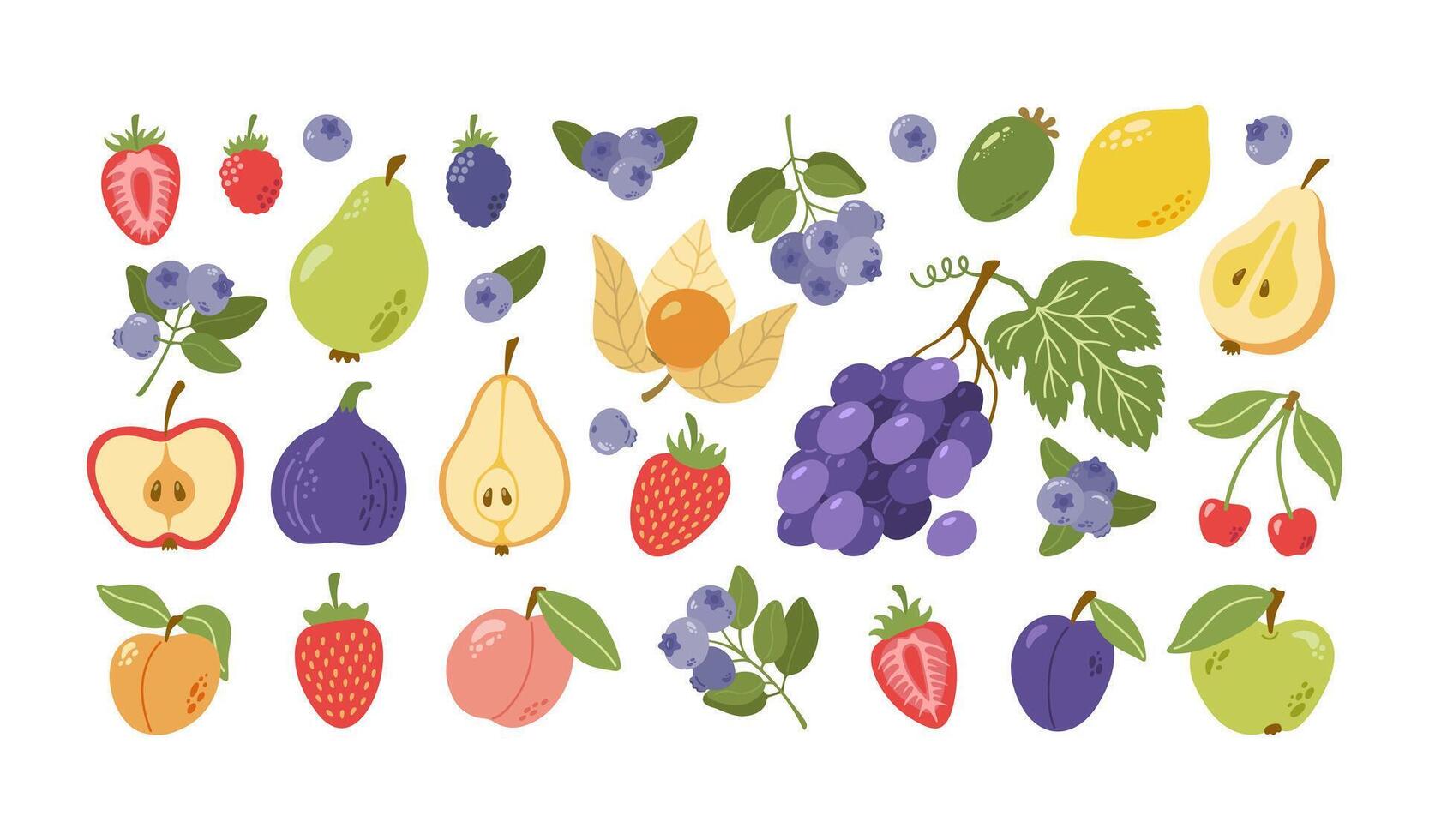 Summer garden fruits and berries with leaves. Blueberry, strawberry, blackberry, pear, apple, fig, apricot, peach, physalis, grape, lemon, cherry, plum, feijoa. Hand drawn cartoon. vector