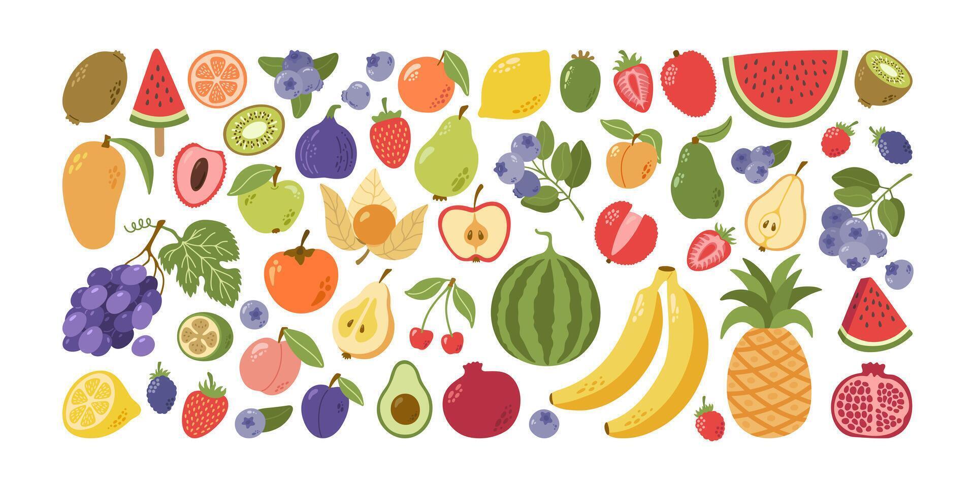 Summer tropical, exotic and garden fruits and berries with leaves collection. Hand drawn cartoon. vector