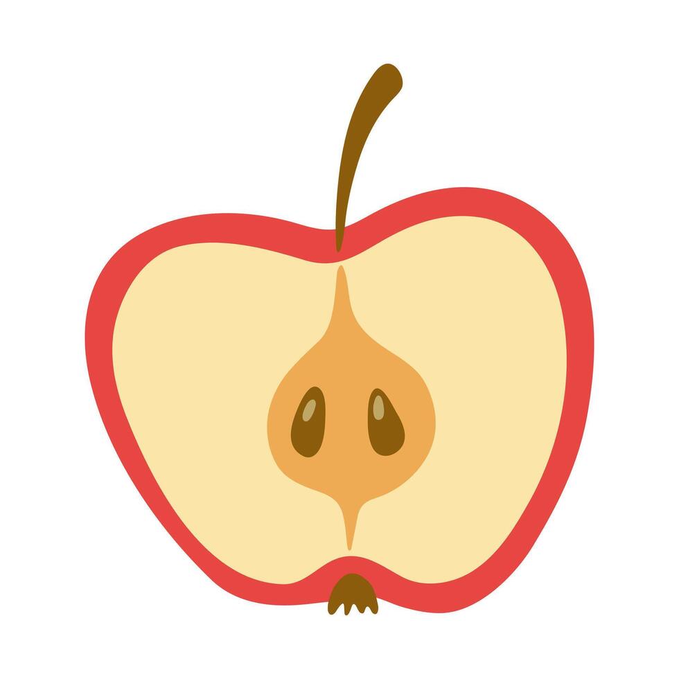 Summer juicy halved red apple with stem and seeds. Hand drawn cartoon fruit illustration. vector