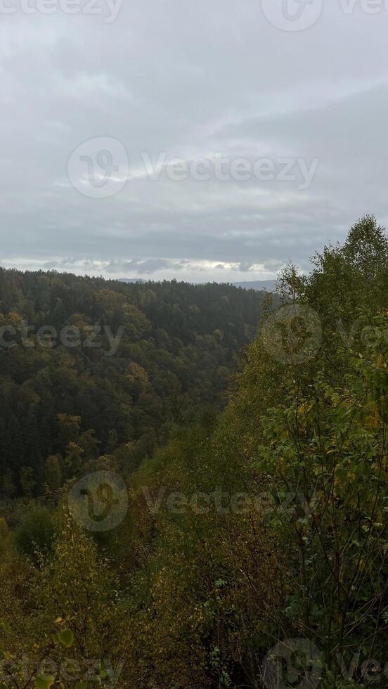 View of autumn mountain forest with cloudy weather. Poland photo