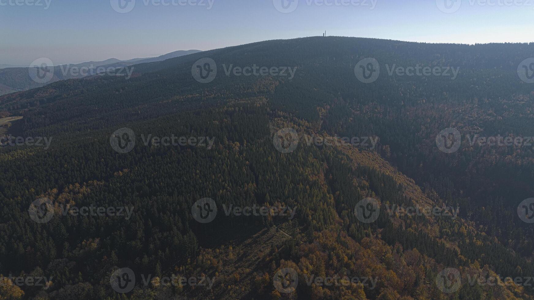 Mountains covered with colorful autumn trees, autumn mountain aerial landscape. Drone view photo