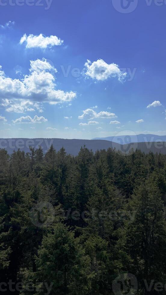 Panoramic view of forested mountains in Poland and the Czech Republic. photo
