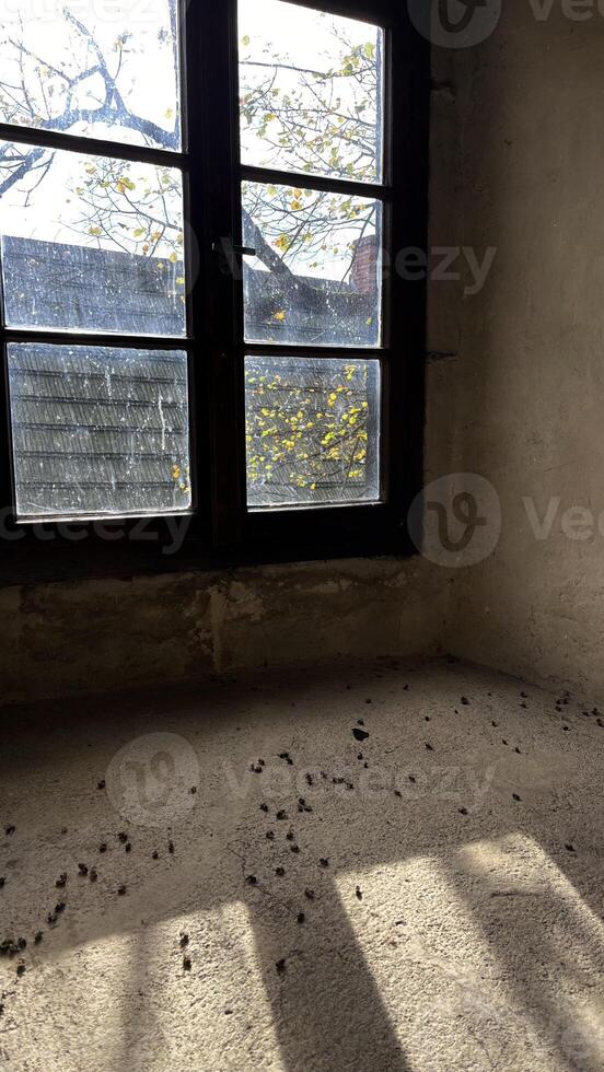 Old windows in the castle, view from the inside Poland photo