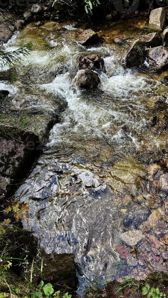 A small mountain river with a flow of water in the Polish mountains. Eastern Sudetes photo