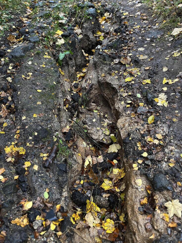 Soil erosion on a mountain path after heavy rains in Autumn. photo