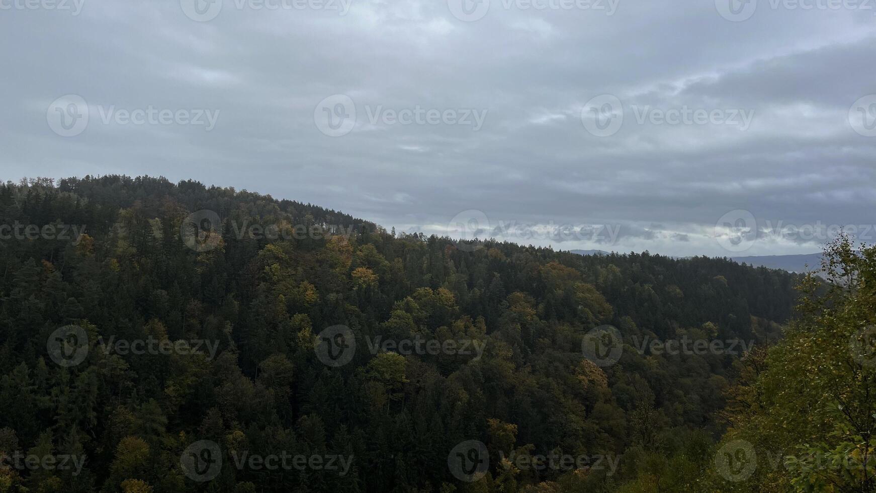 View of autumn mountain forest with cloudy weather. Poland photo