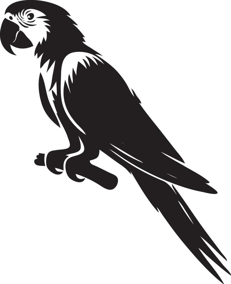 A black and white parrot on a branch vector