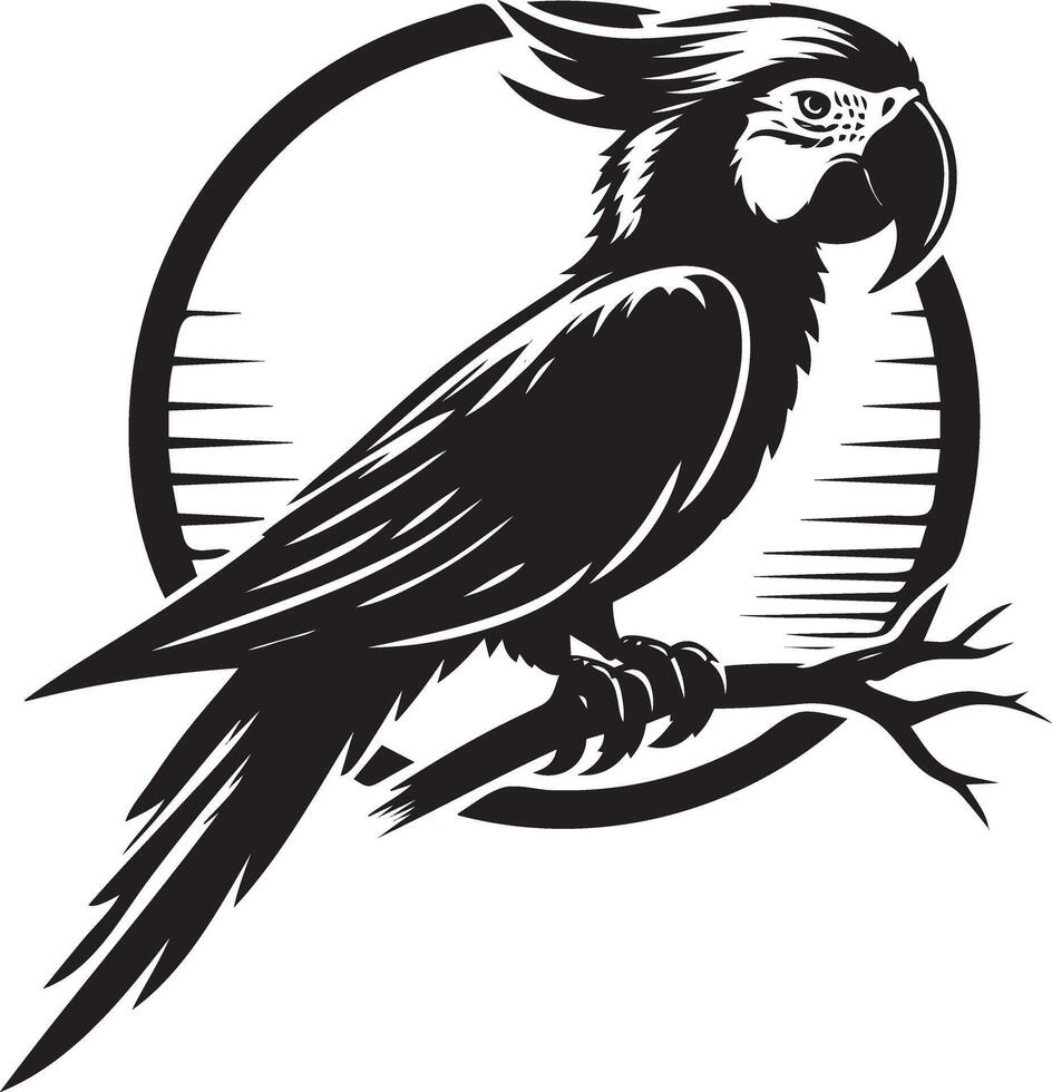 A black and white parrot sitting on a branch vector