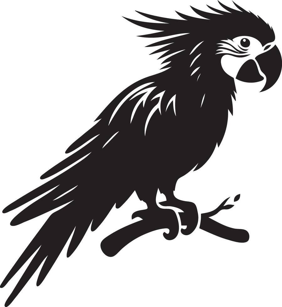 A black and white parrot sitting on a branch vector