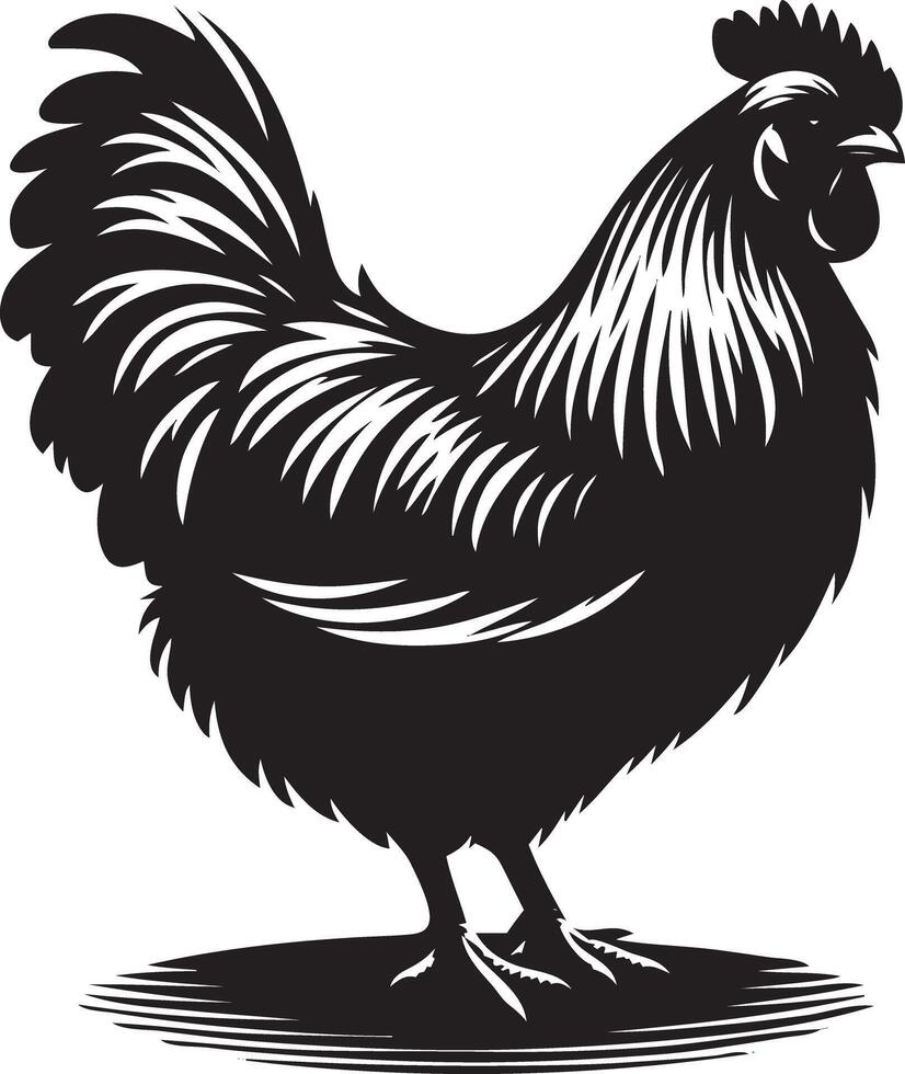 A black and white illustration of a rooster vector