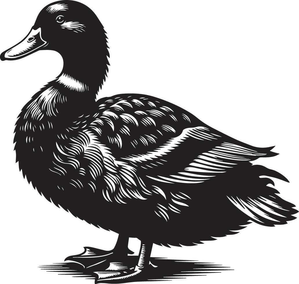 A black and white drawing of a duck vector