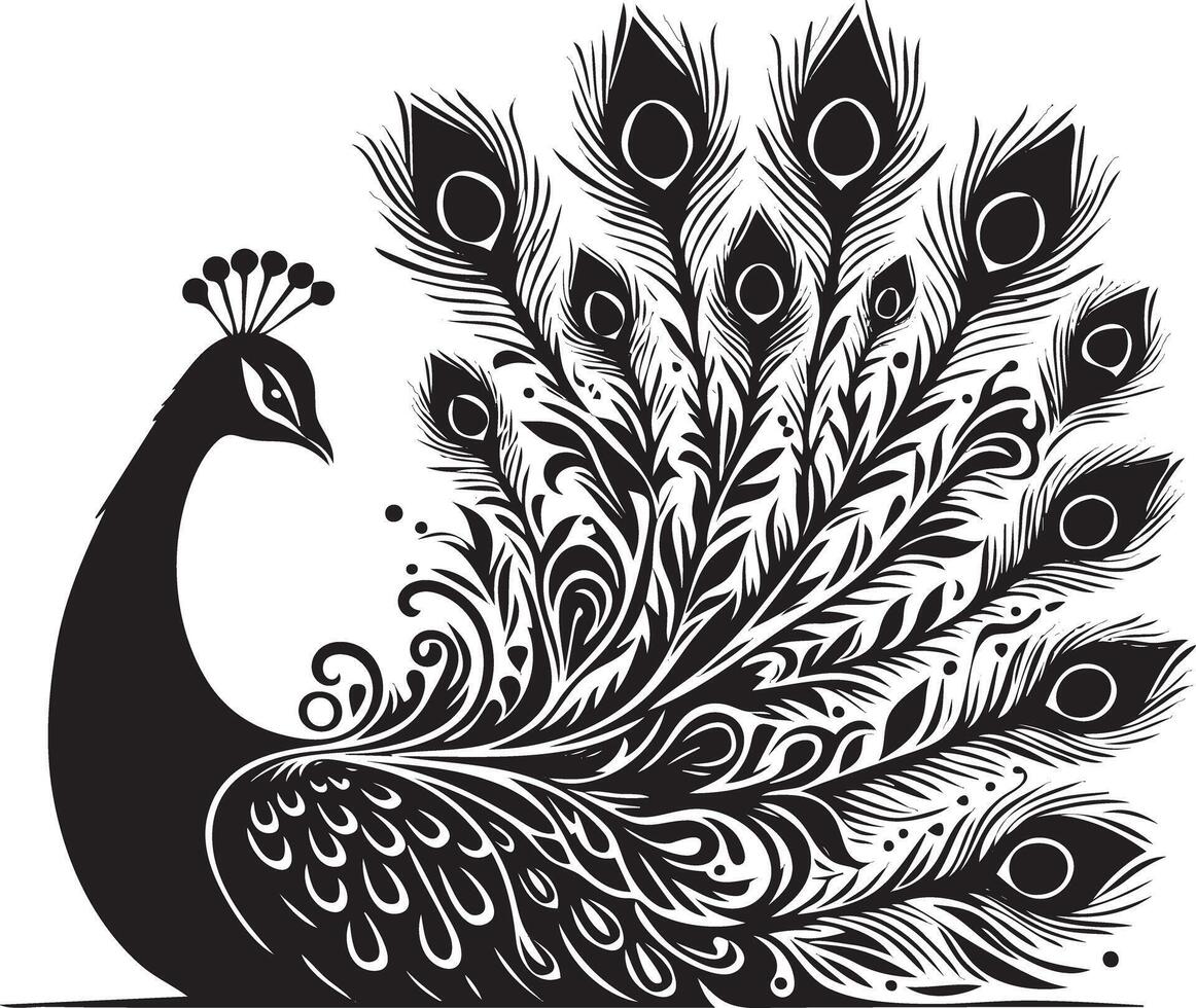 A black and white peacock with feathers on its back vector