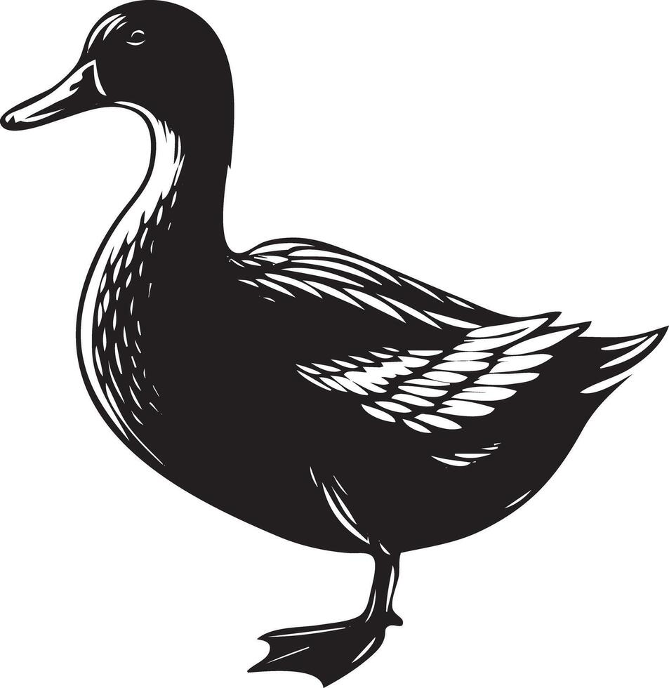 A black and white drawing of a duck vector