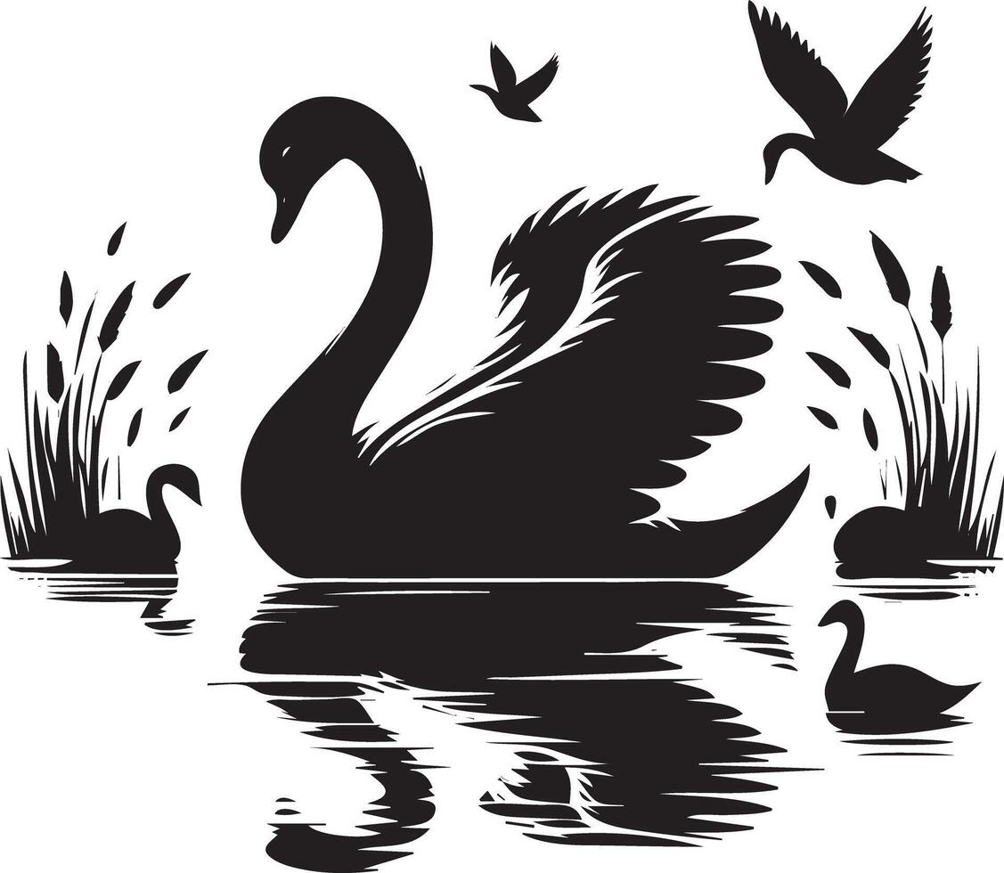 Swan and swans in the water vector