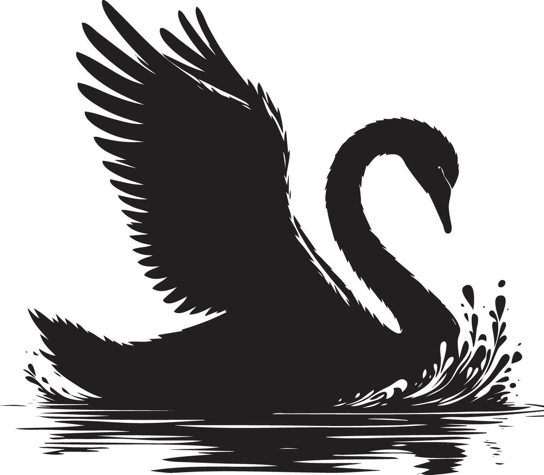 Black swan on the water vector