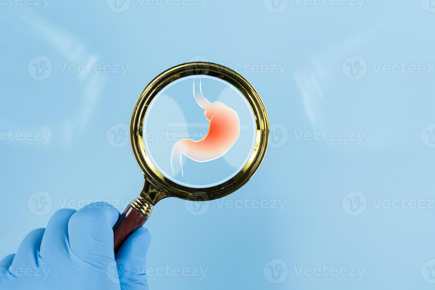 Stomach with magnifying glass. A person is holding a magnifying glass up to a picture of a stomach. photo