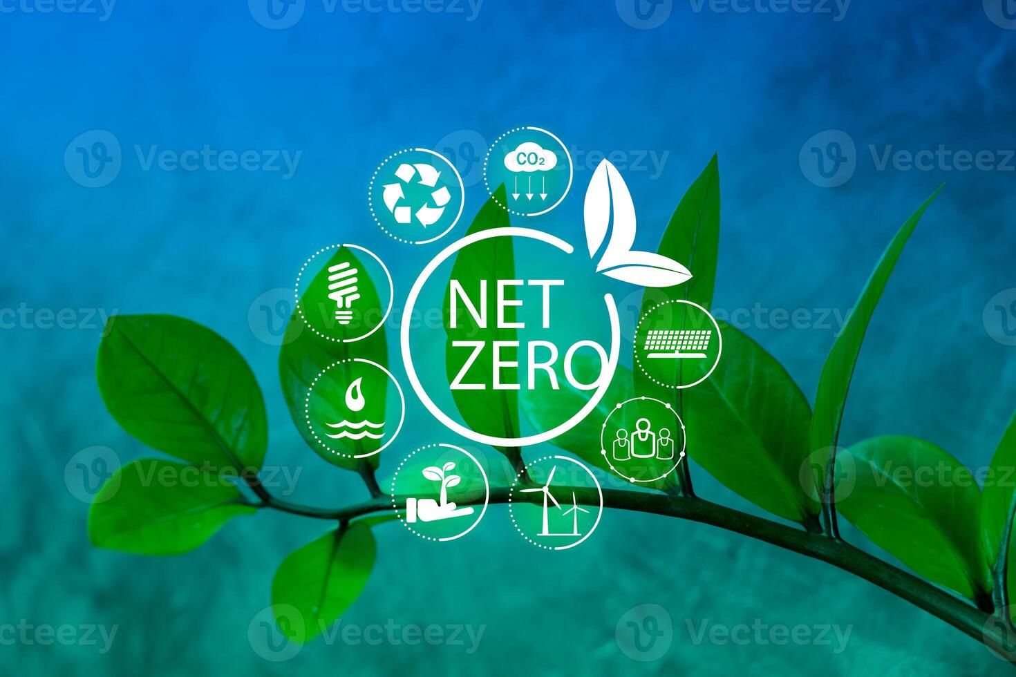 Net-zero symbol on a branch, plant branch. Green leaves and net-zero symbol. Environmental sustainability symbol on a plant. photo