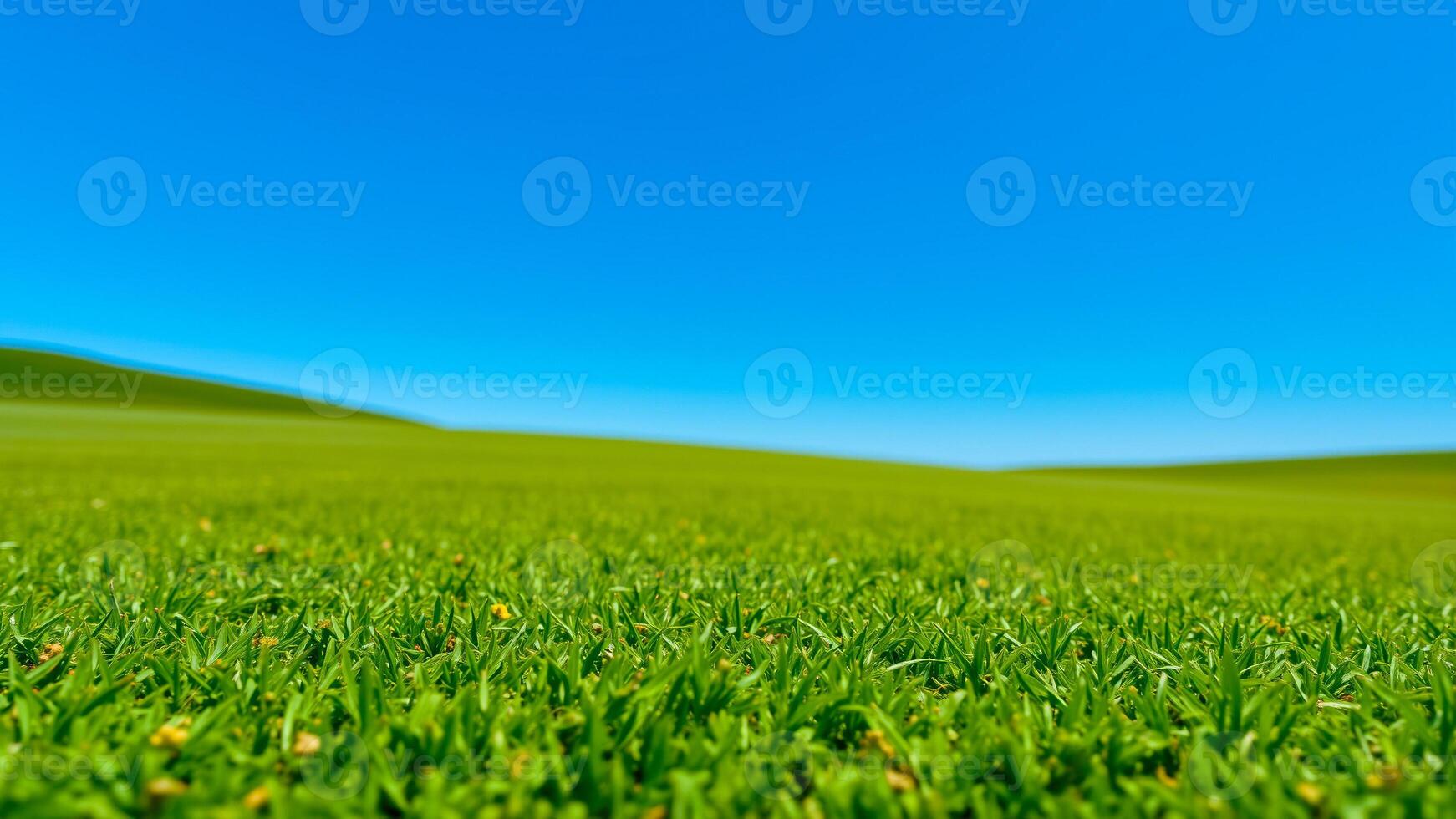 view green grass blue sky photo