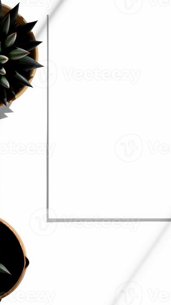 two succulents cast shadows on a white surface photo