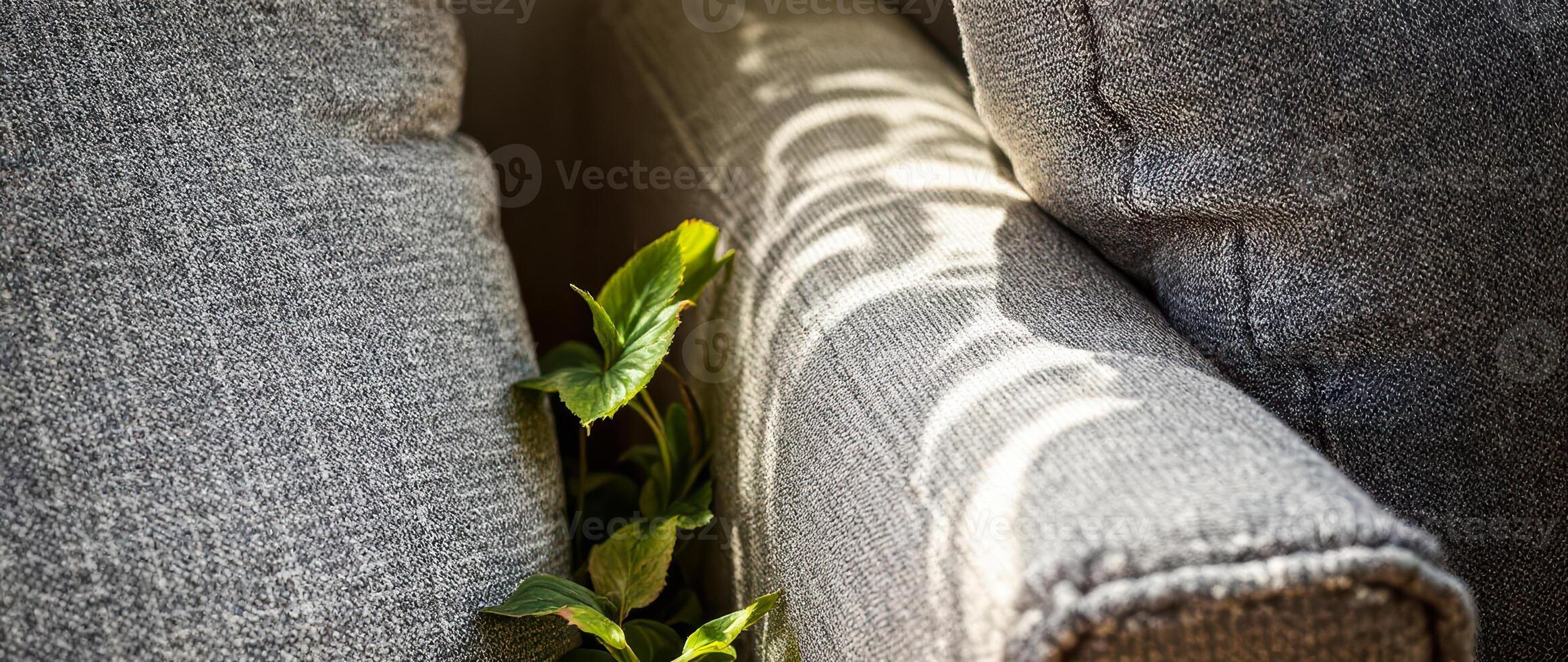 green plant pushing through fabric photo