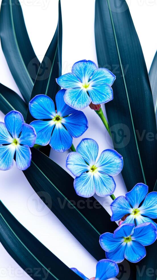 blue flowers green leaves photo