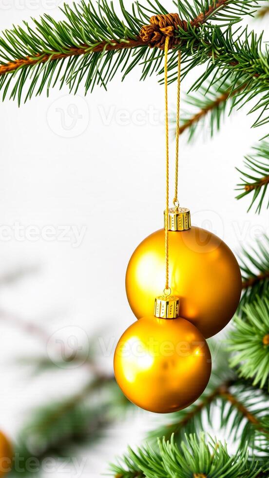 two golden ornaments adorn a fir tree branch photo