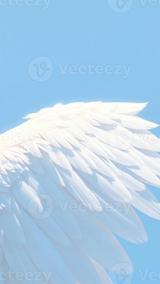 detailed view a bird's white wing against a light blue sky photo