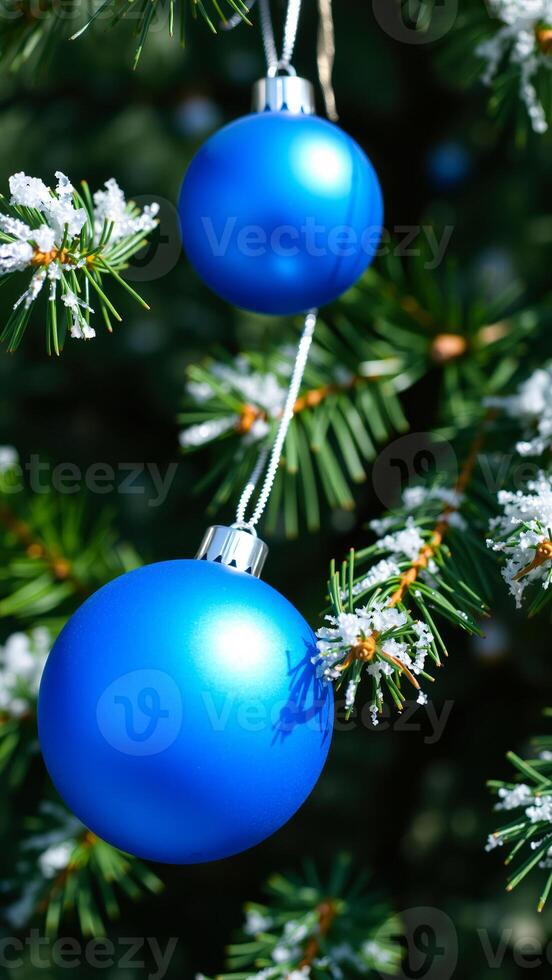 two blue ornaments decorate a snowy pine tree photo