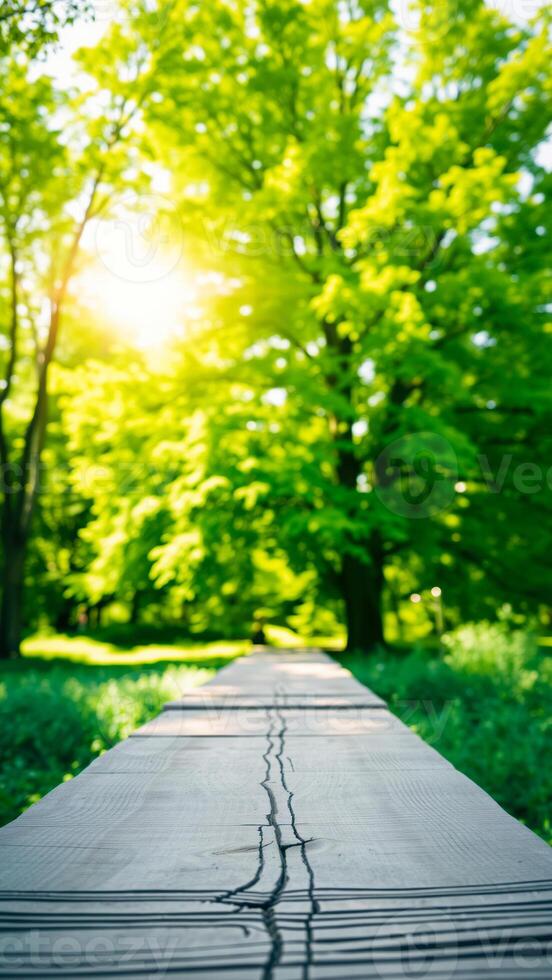 wooden walkway through a lush green forest photo