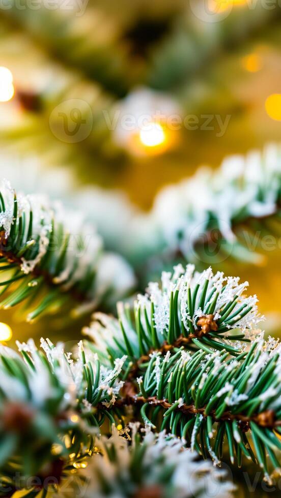 snowy pine branch with warm lights photo
